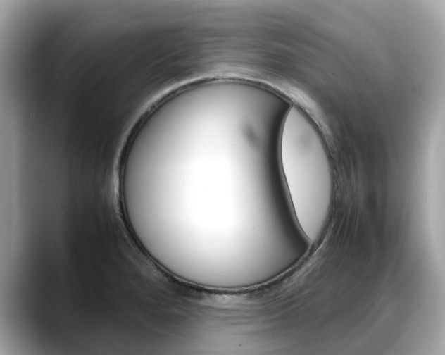 X0000088721280200705311050