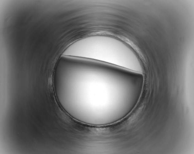 X0000088721281200705311050