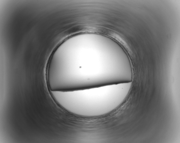 X0000088721283200705311050