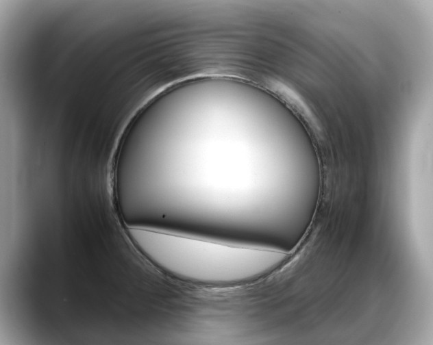 X0000088721284200705311050
