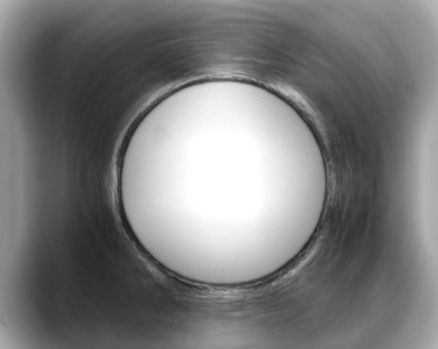 X0000088721286200705311050