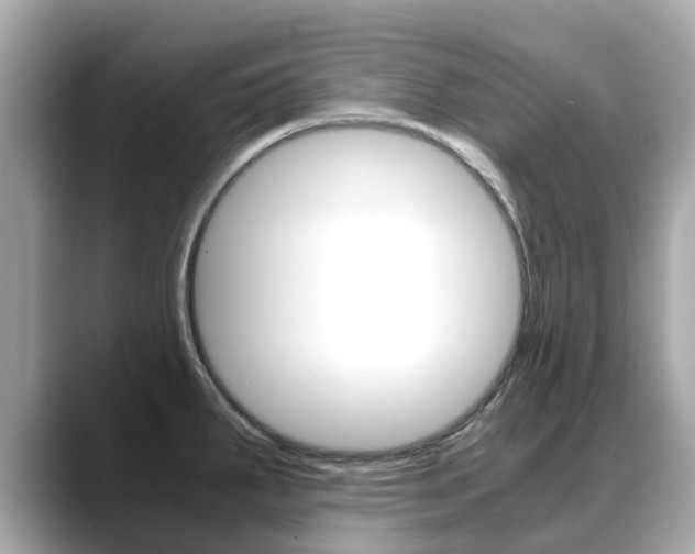 X0000088721287200705311050