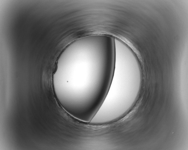 X0000088721289200705311050