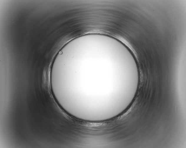 X0000088721290200705311050
