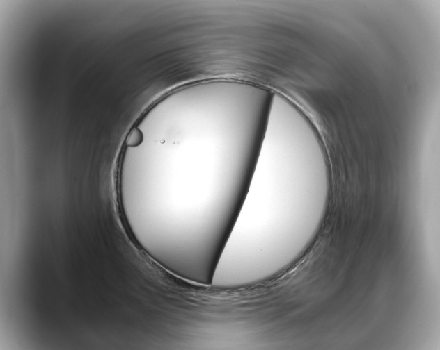 X0000088721291200705311050