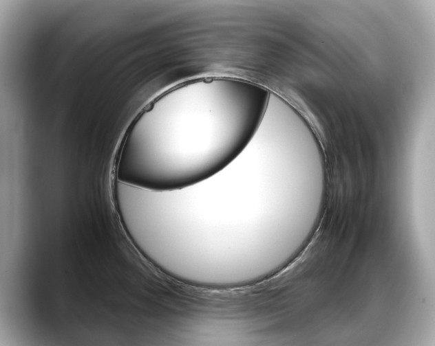X0000088721292200705311050