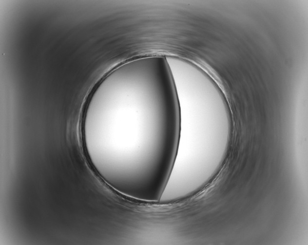 X0000088721293200705311050
