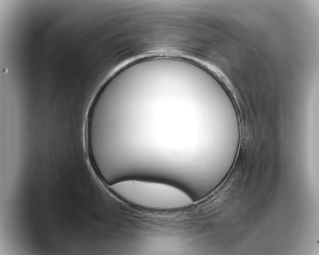 X0000088721295200705311050