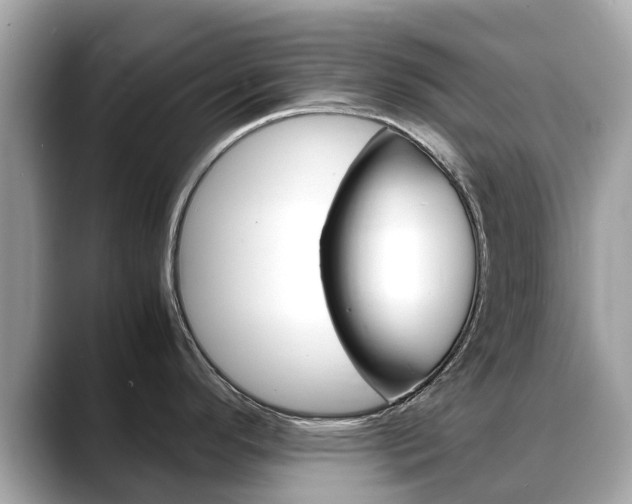 X0000088721296200705311050
