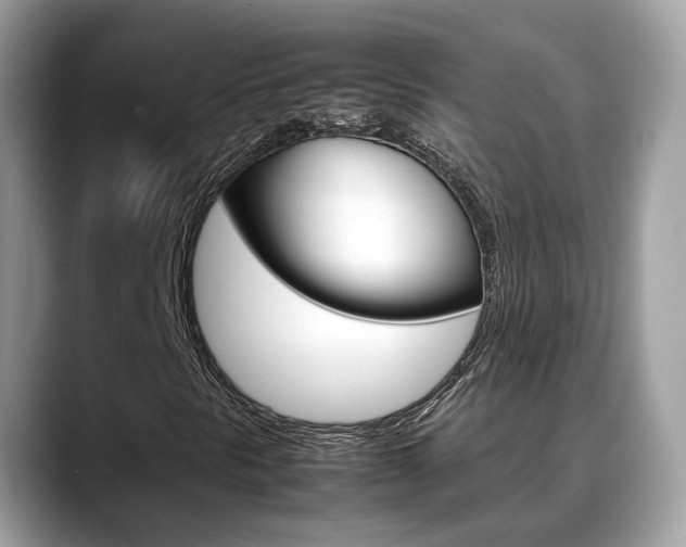 X0000088721297200705311049
