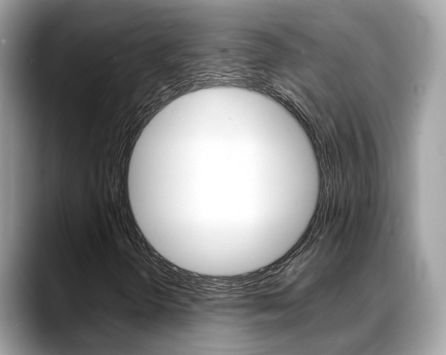 X0000088721298200705311049