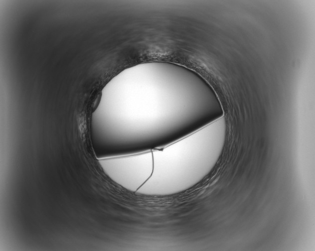 X0000088721299200705311049