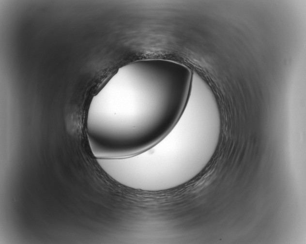 X0000088721300200705311049