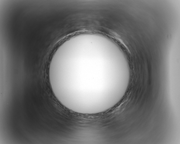 X0000088721304200705311049