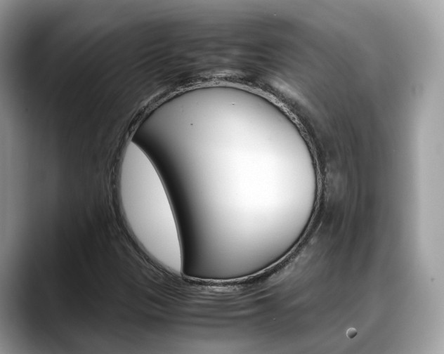 X0000088721305200705311049