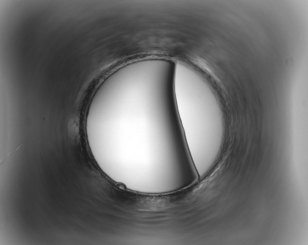 X0000088721307200705311049