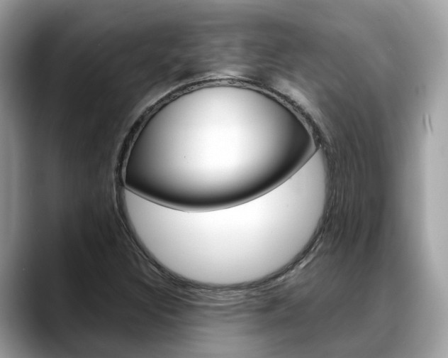 X0000088721308200705311049