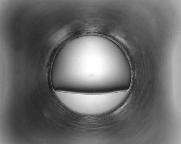 X0000088721309200705311049