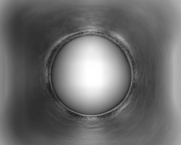X0000088721310200705311049