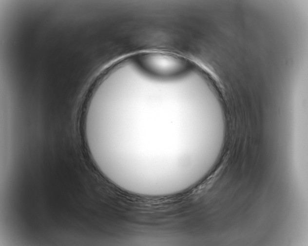 X0000088721311200705311049