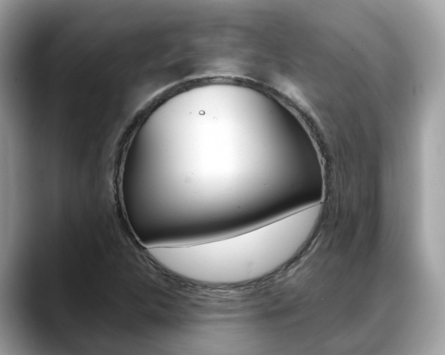 X0000088721312200705311049