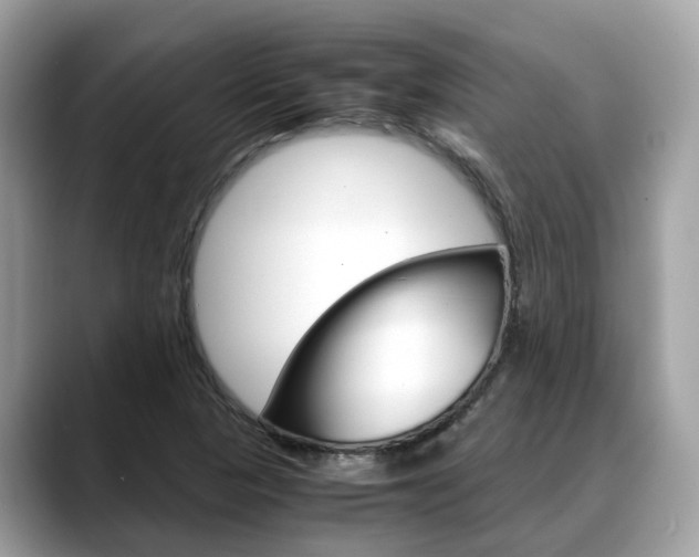 X0000088721313200705311049