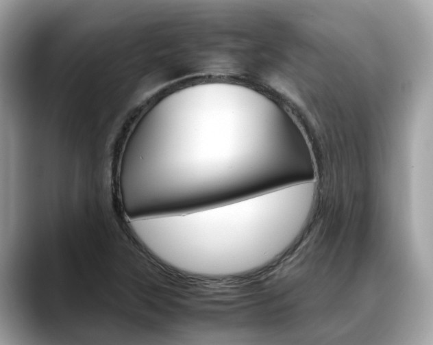 X0000088721315200705311049