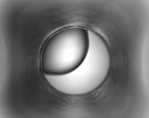 X0000088721316200705311049