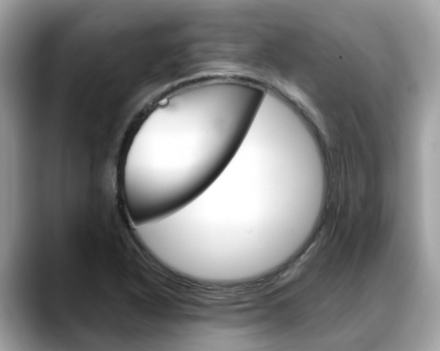 X0000088721318200705311049