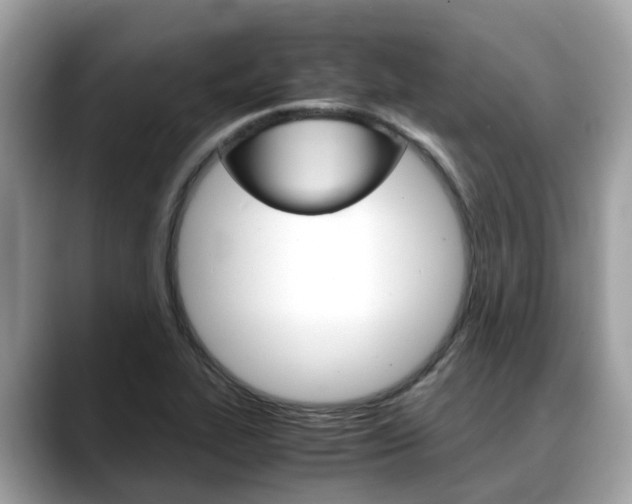 X0000088721319200705311050