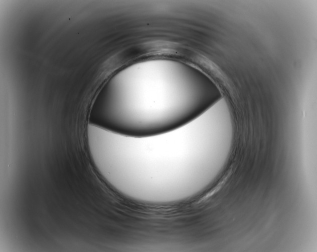 X0000088721321200705311050