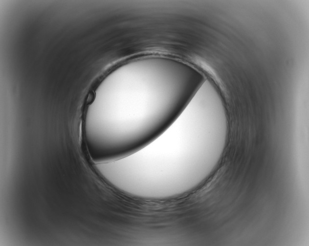 X0000088721323200705311050