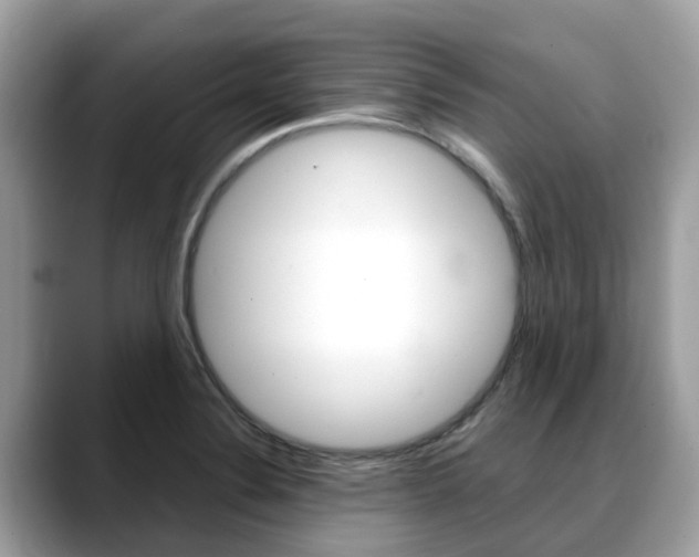 X0000088721324200705311050