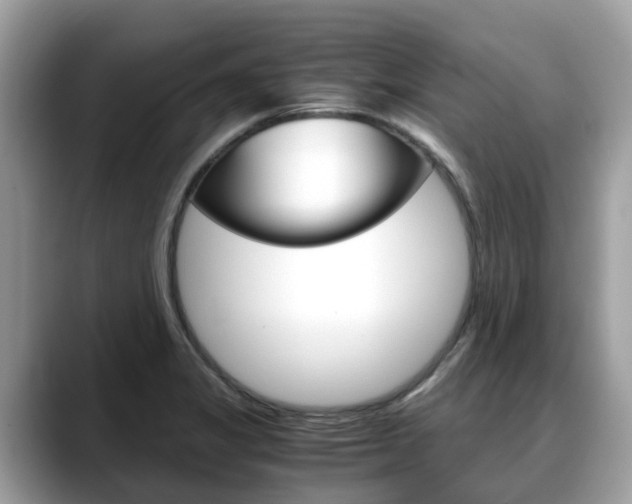 X0000088721325200705311050