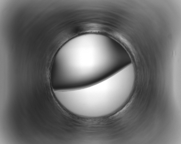 X0000088721329200705311050