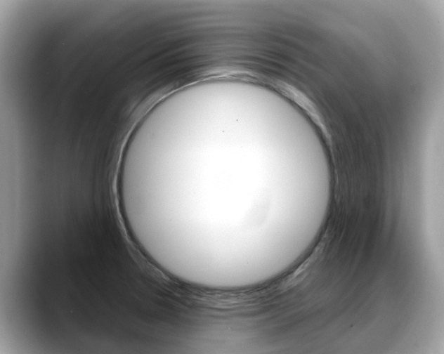 X0000088721330200705311050