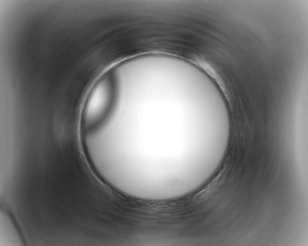 X0000088721331200705311050