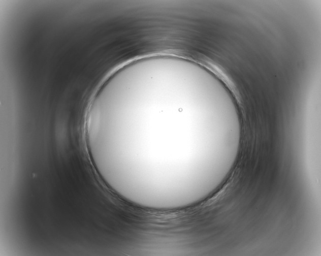 X0000088721332200705311050