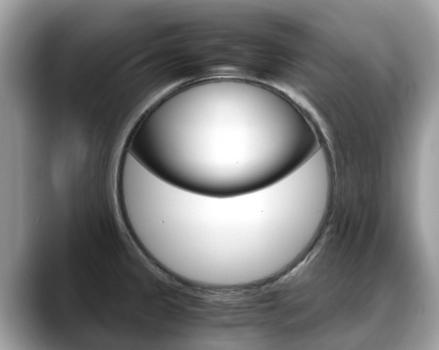 X0000088721333200705311050