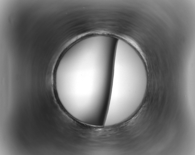 X0000088721335200705311050