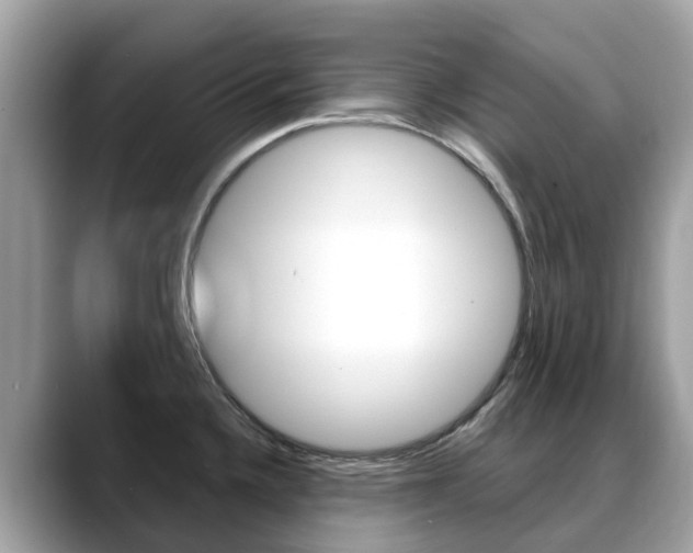 X0000088721336200705311050