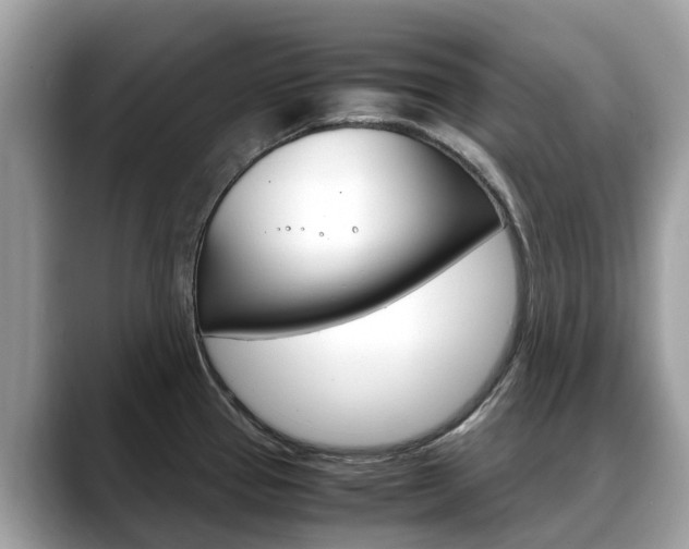 X0000088721337200705311050