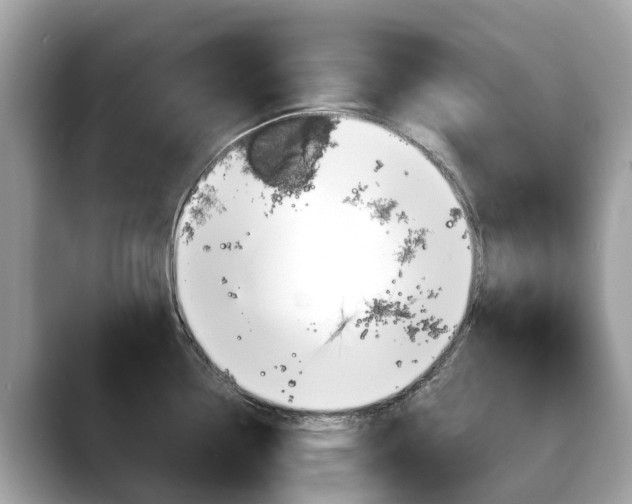X0000088721338200705311050
