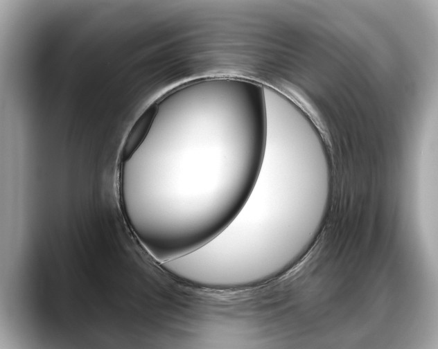 X0000088721340200705311050