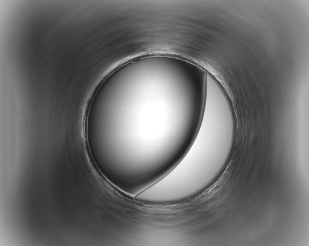 X0000088721342200705311050