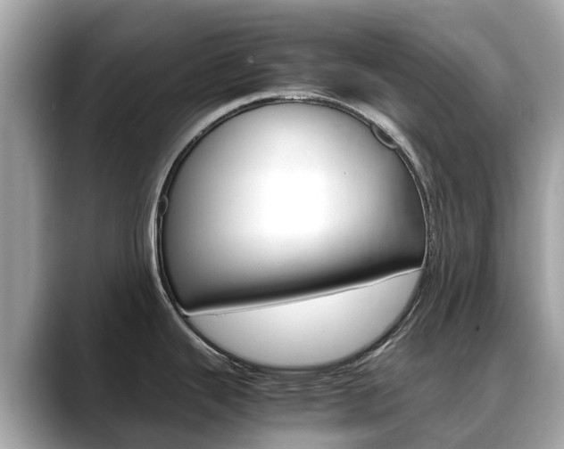 X0000088721343200705311050