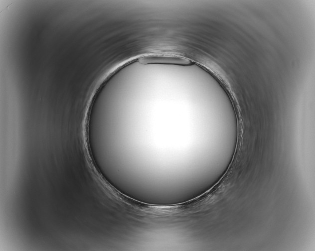 X0000088721344200705311050