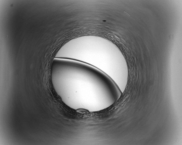 X0000088721345200705311049