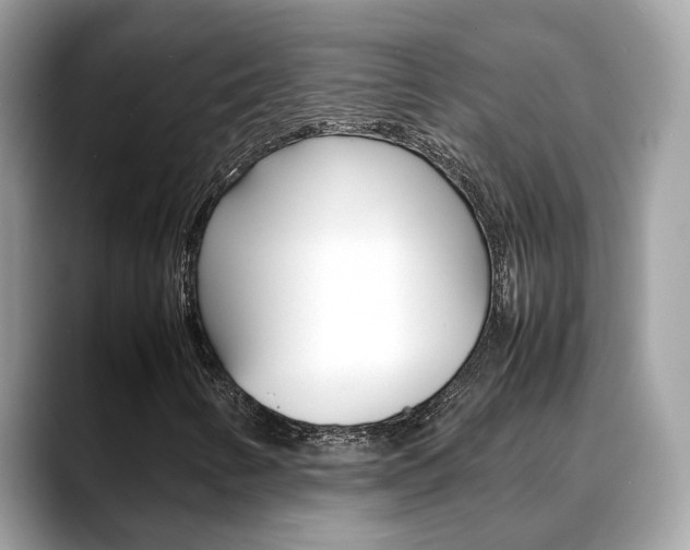X0000088721346200705311049