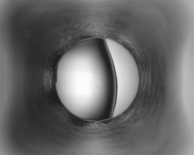 X0000088721348200705311049